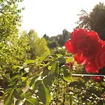 Provvidenza Мотовун