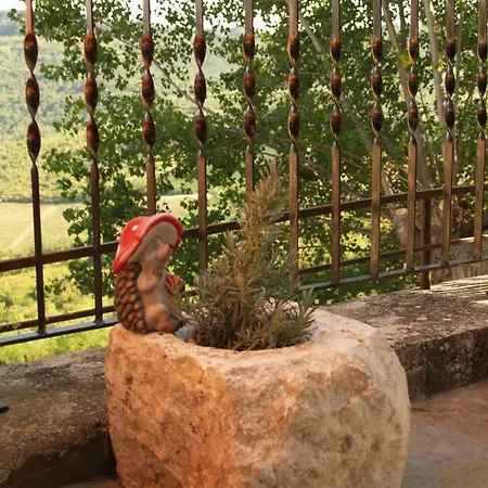 Provvidenza Motovun