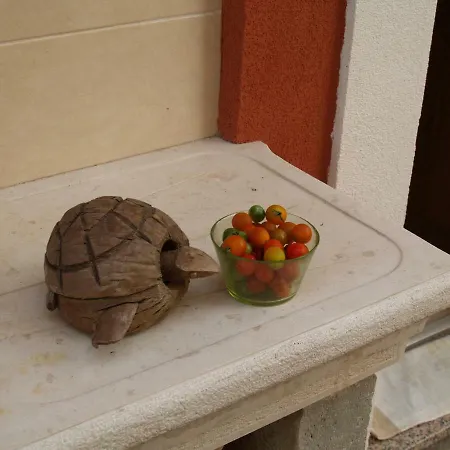 Provvidenza * Motovun