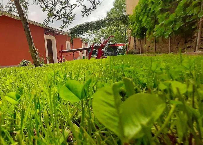 Provvidenza Villa Motovun